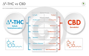 Ã¢Ëâ 8-THC vs CBD, Delta 8 Tetrahydrocannabinol vs Cannabidiol business infographic photo
